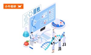 小牛临研 | 2025版GCP征求意见稿来了！你的工作将有哪些变化？