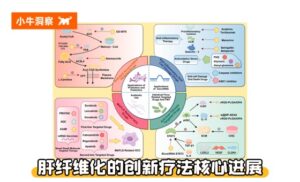 小牛洞察 | 肝纤维化的治疗革命：从 “保肝” 到 “精准靶向”，创新药改写治疗格局