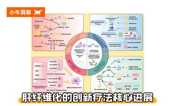 小牛洞察 | 肝纤维化的治疗革命：从 “保肝” 到 “精准靶向”，创新药改写治疗格局