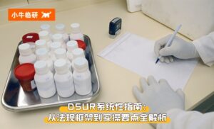 小牛临研 | 研发期间安全性更新报告（DSUR）系统性指南：从法规框架到实操要点全解析