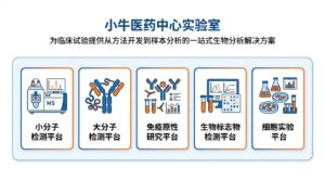 小牛服务 | 实验室检测：贯穿临床试验全程的一站式生物分析解决方案